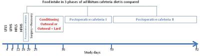 Early Postoperative Exposure to High-Fat Diet Does Not Increase Long-Term Weight Loss or Fat Avoidance After Roux-en-Y Gastric Bypass in Rats